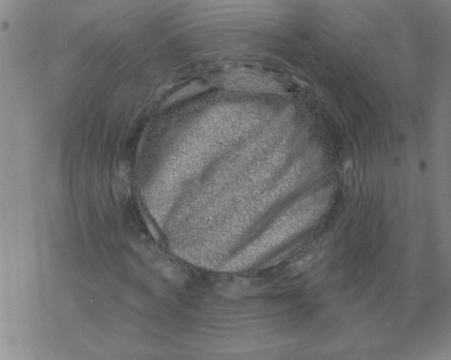 X0000076100772200610061706