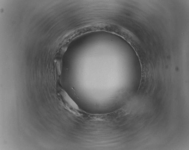 X0000076100773200610061706