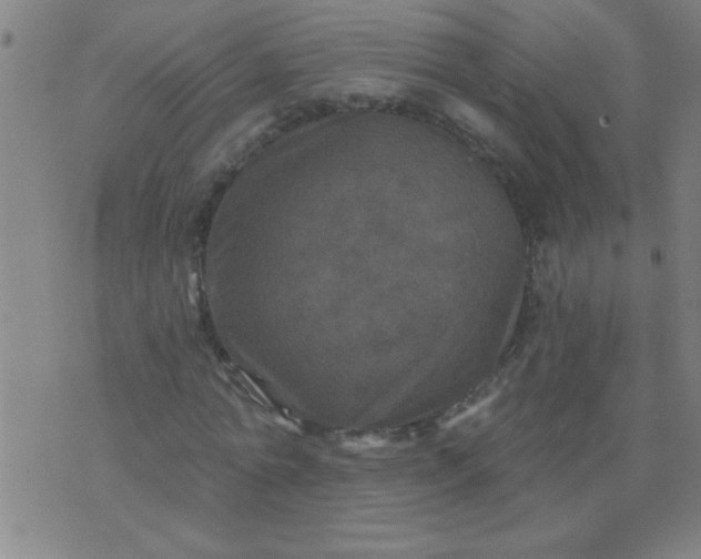 X0000076100774200610061706