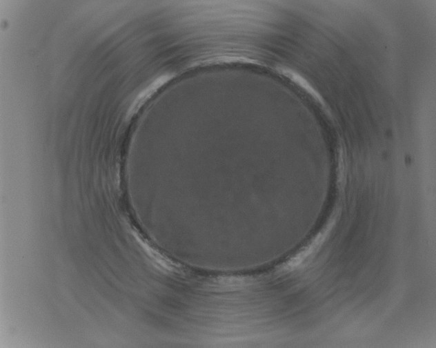 X0000076100777200610061705