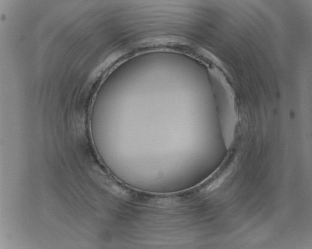 X0000076100778200610061705