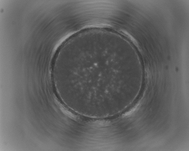 X0000076100779200610061705