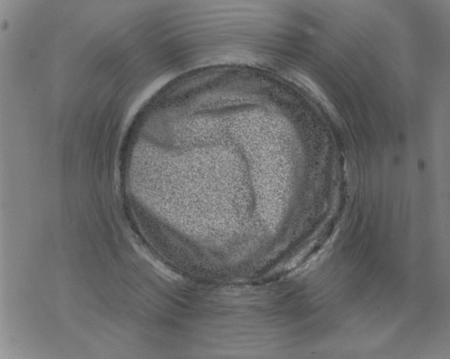 X0000076100780200610061705