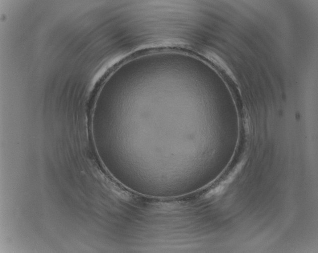 X0000076100781200610061705