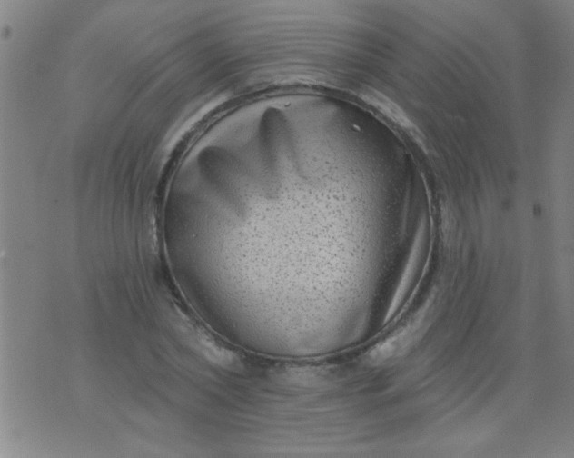 X0000076100782200610061705