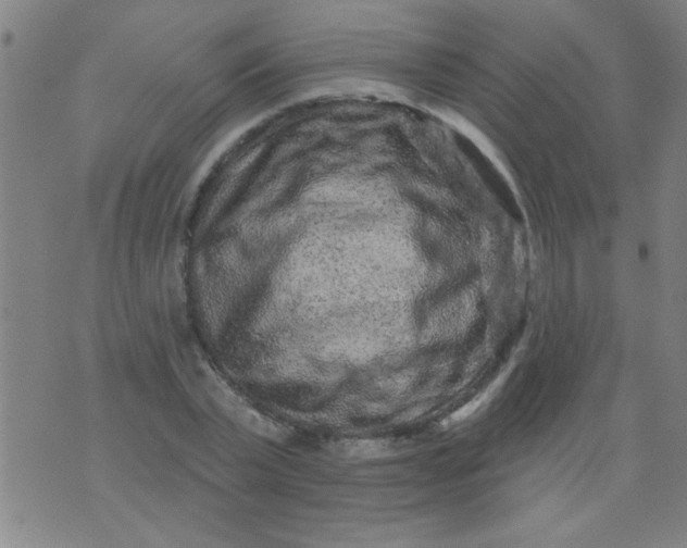 X0000076100783200610061705