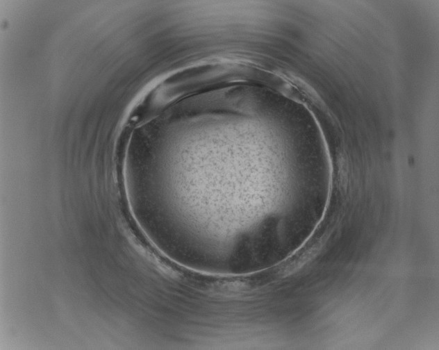 X0000076100784200610061705