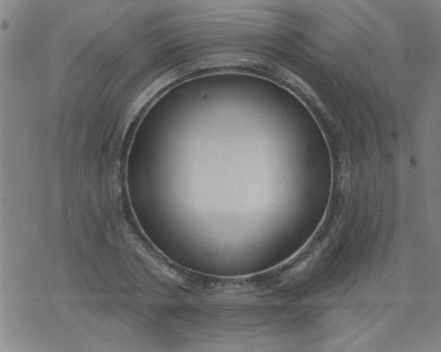 X0000076100786200610061705