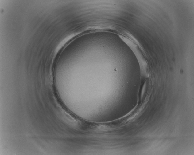 X0000076100787200610061705