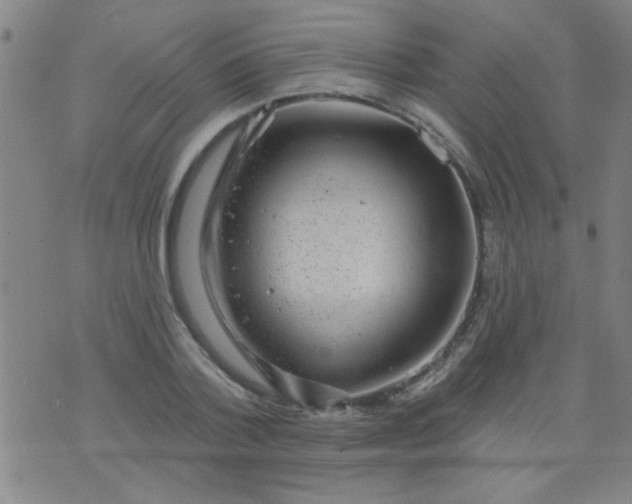 X0000076100788200610061705