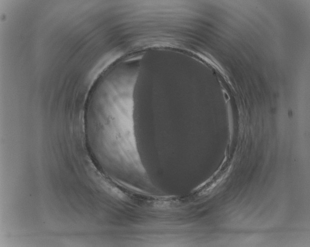 X0000076100790200610061705