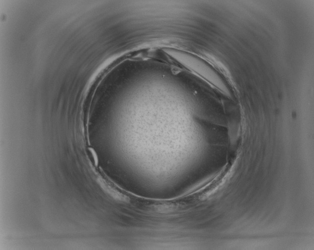 X0000076100792200610061705