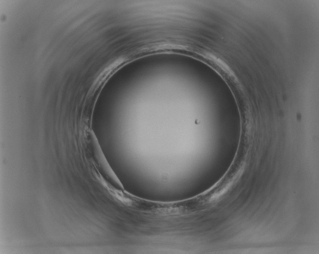 X0000076100793200610061705