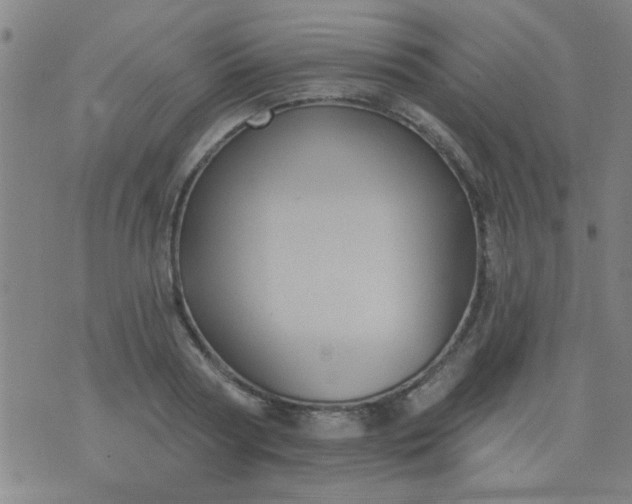 X0000076100794200610061705