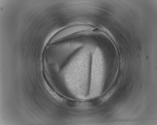 X0000076100795200610061705