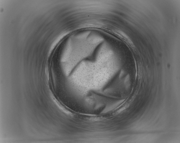 X0000076100796200610061705