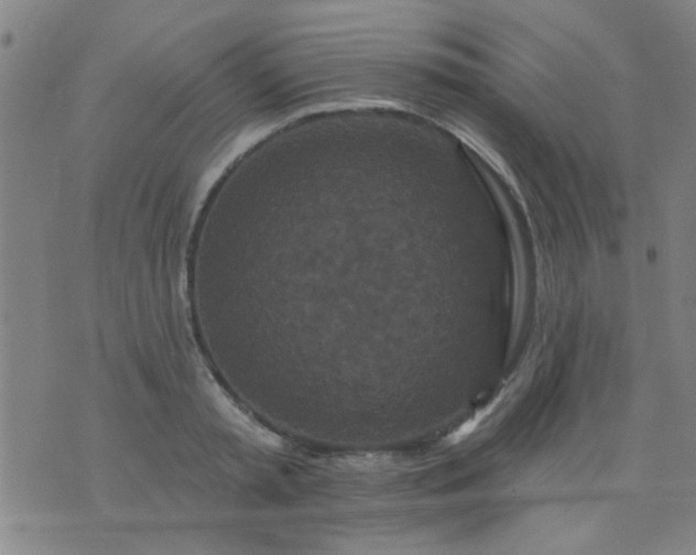 X0000076100797200610061705