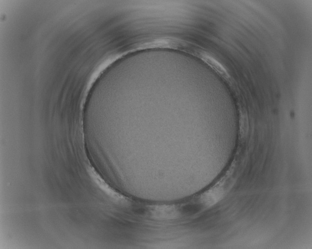 X0000076100800200610061705