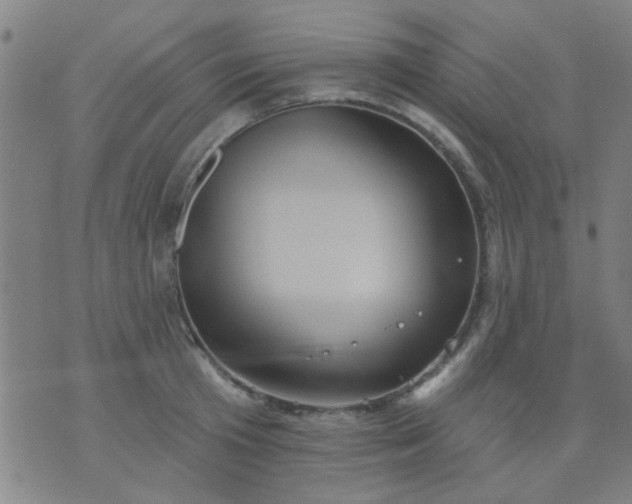 X0000076100801200610061705