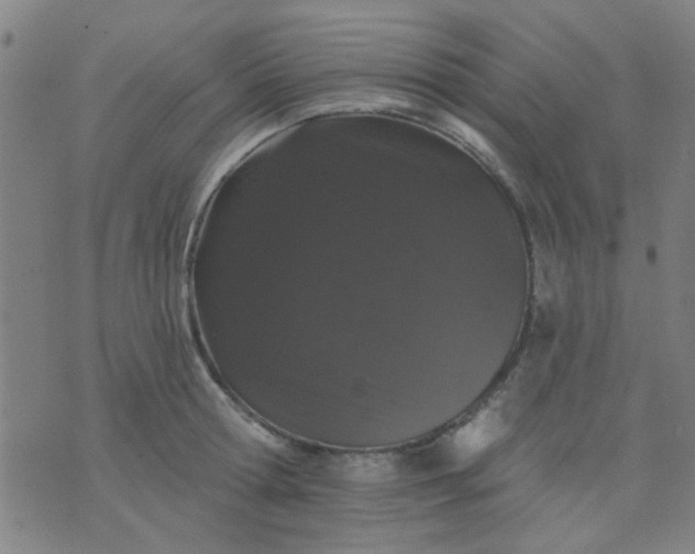 X0000076100802200610061705