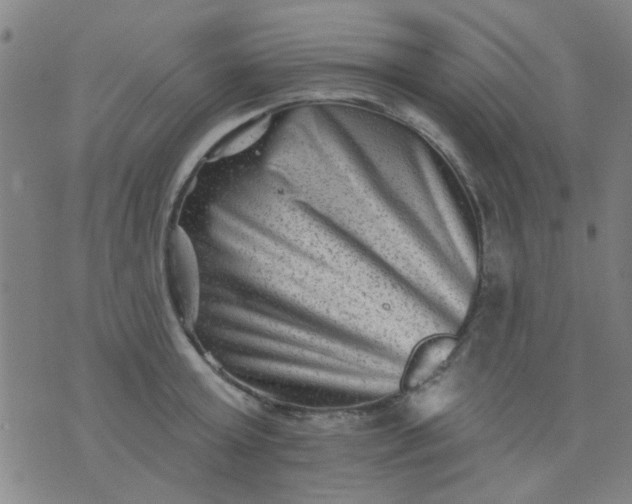 X0000076100803200610061705