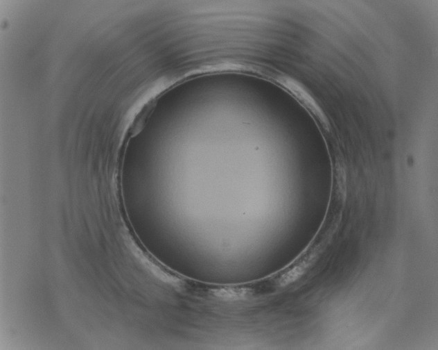 X0000076100805200610061705