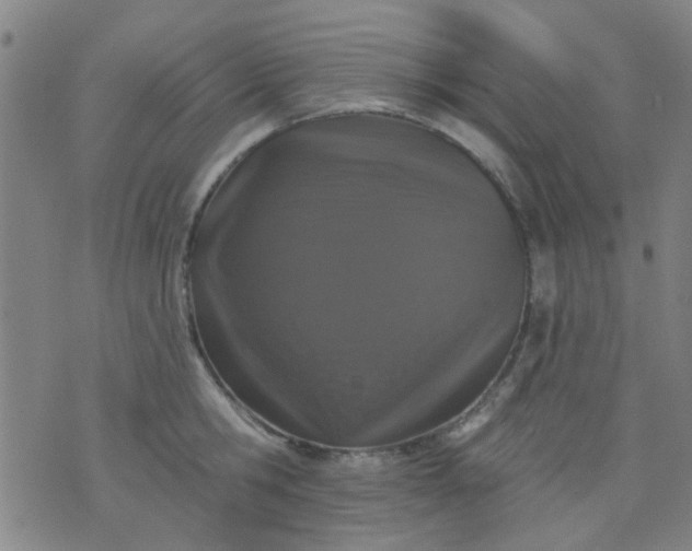 X0000076100806200610061705