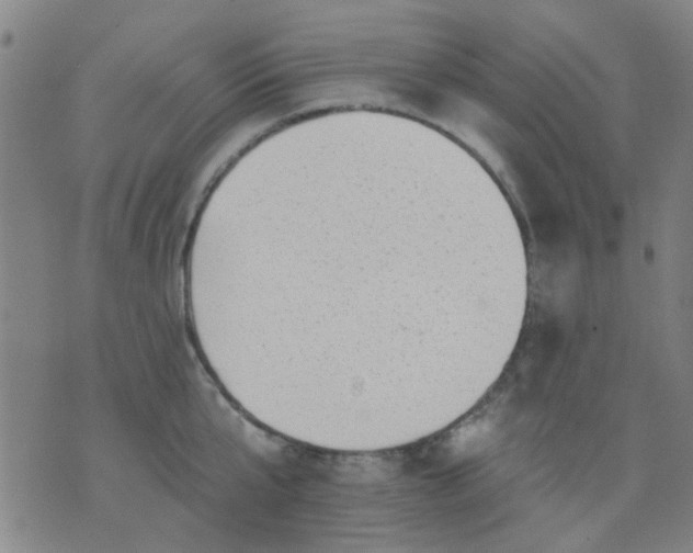 X0000076100807200610061705