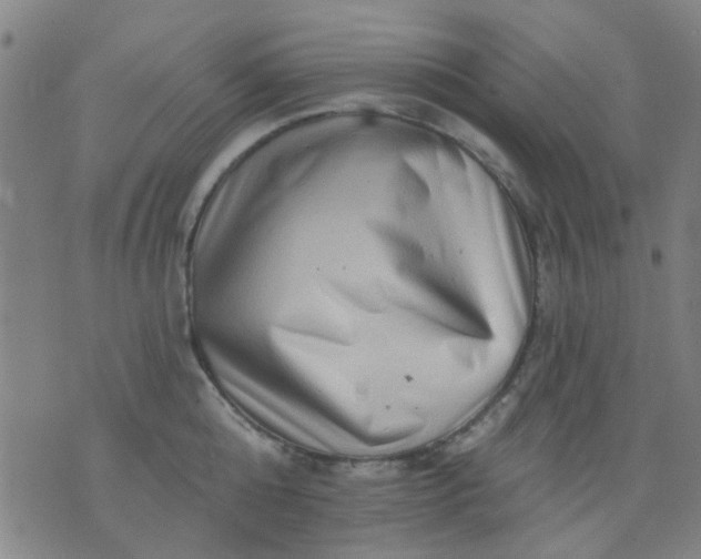 X0000076100808200610061705