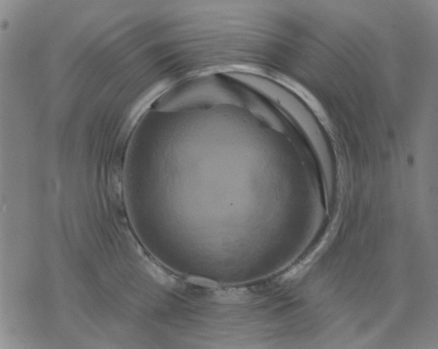 X0000076100809200610061705