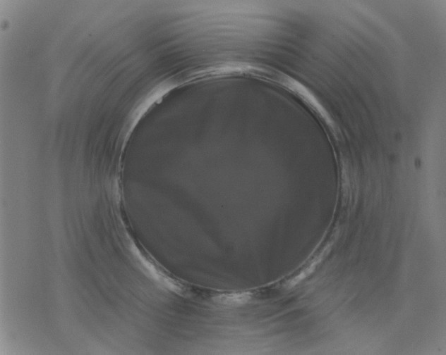 X0000076100810200610061705