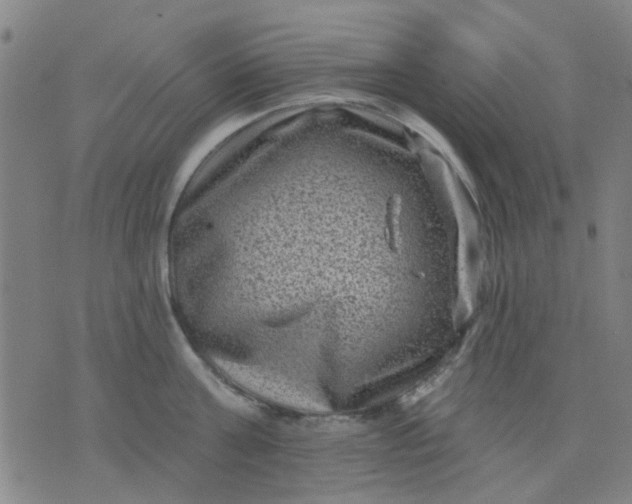 X0000076100811200610061705