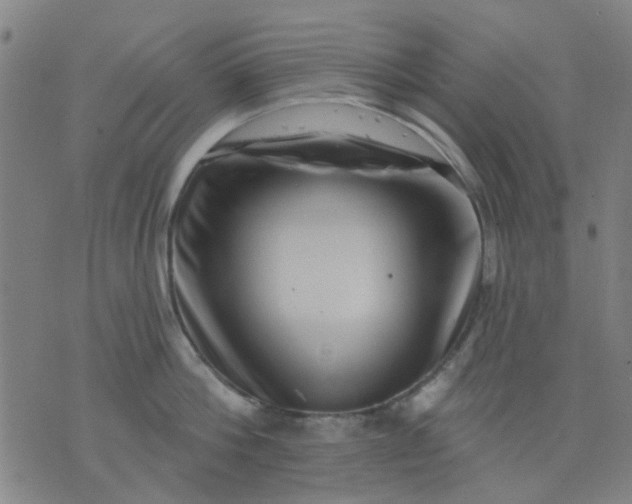 X0000076100812200610061705