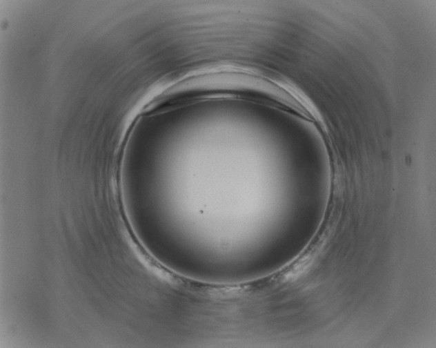 X0000076100813200610061705