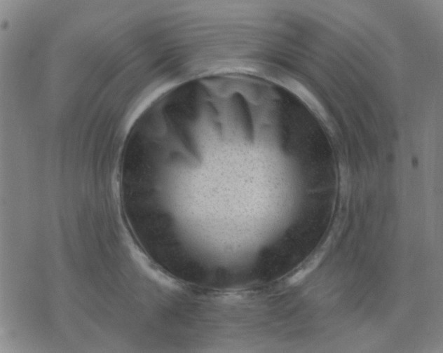 X0000076100814200610061705