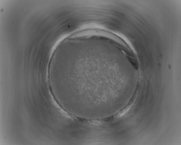 X0000076100815200610061705