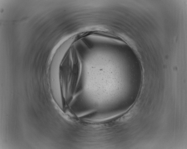 X0000076100816200610061705