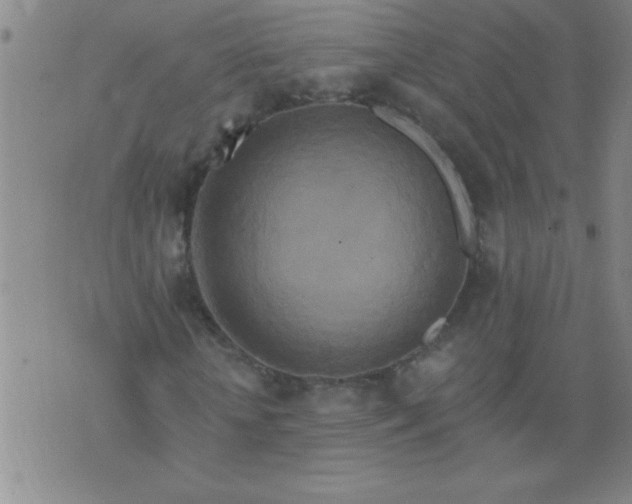 X0000076100818200610061704