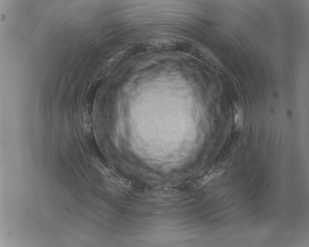 X0000076100819200610061704