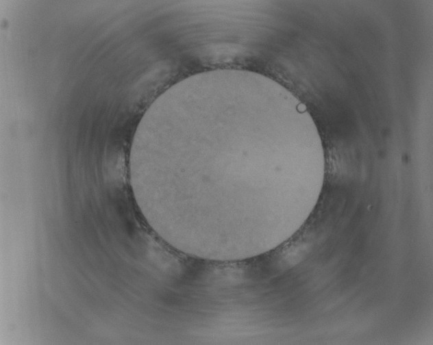 X0000076100820200610061704