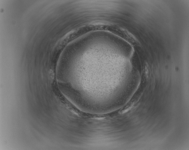 X0000076100821200610061704