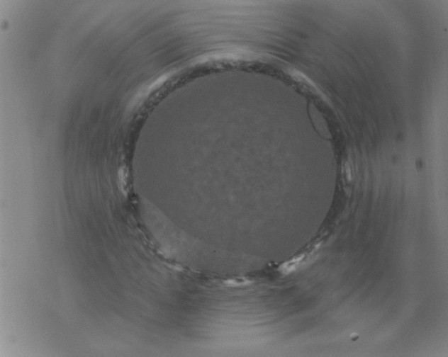 X0000076100822200610061704