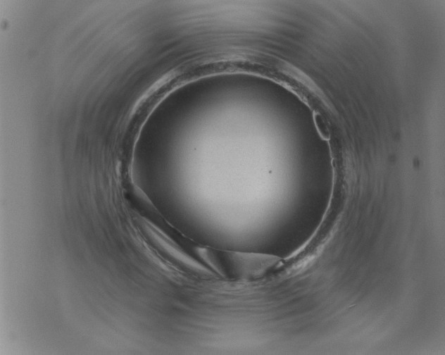 X0000076100826200610061704