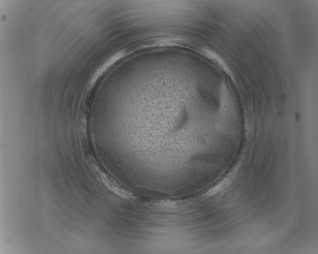 X0000076100827200610061704