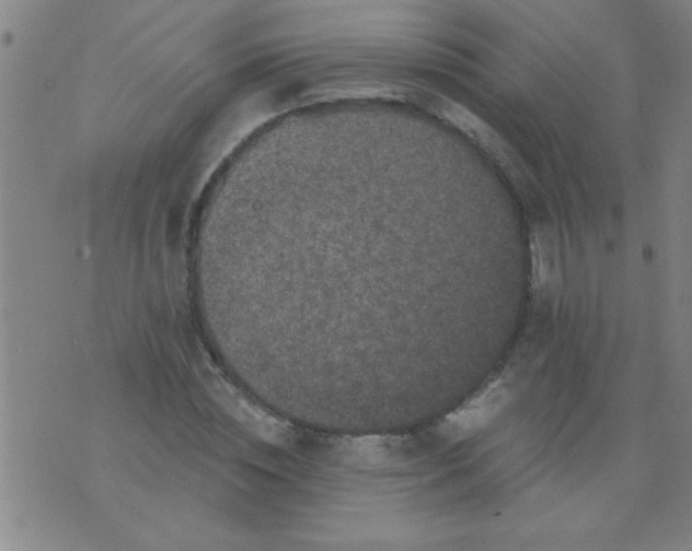 X0000076100828200610061704