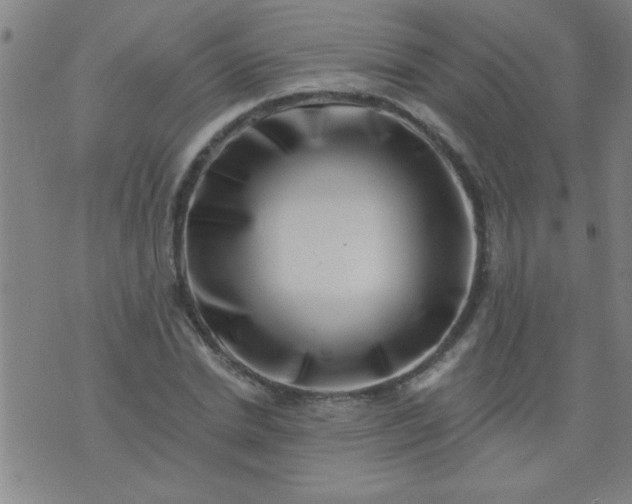 X0000076100830200610061704