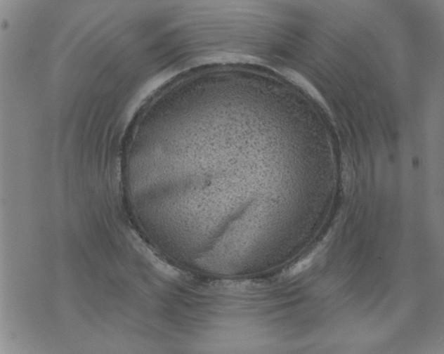 X0000076100831200610061704