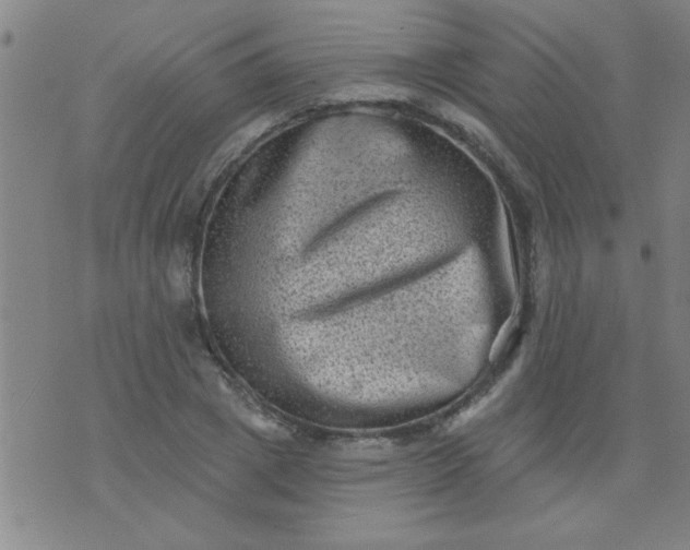 X0000076100833200610061704