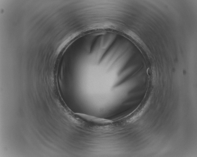 X0000076100834200610061704