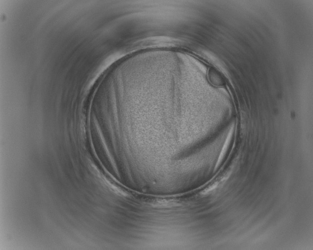 X0000076100835200610061704